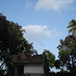 View album