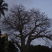 View album