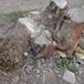 View album