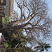 View album