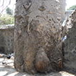 View album