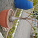 View album