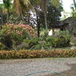 View album