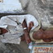 View album