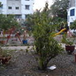 View album