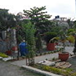 View album
