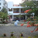View album
