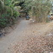 View album