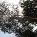 View album
