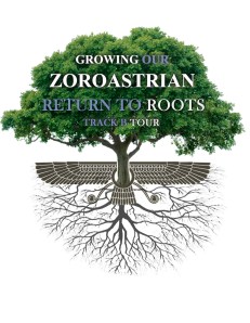 RTR Growing our Z Roots